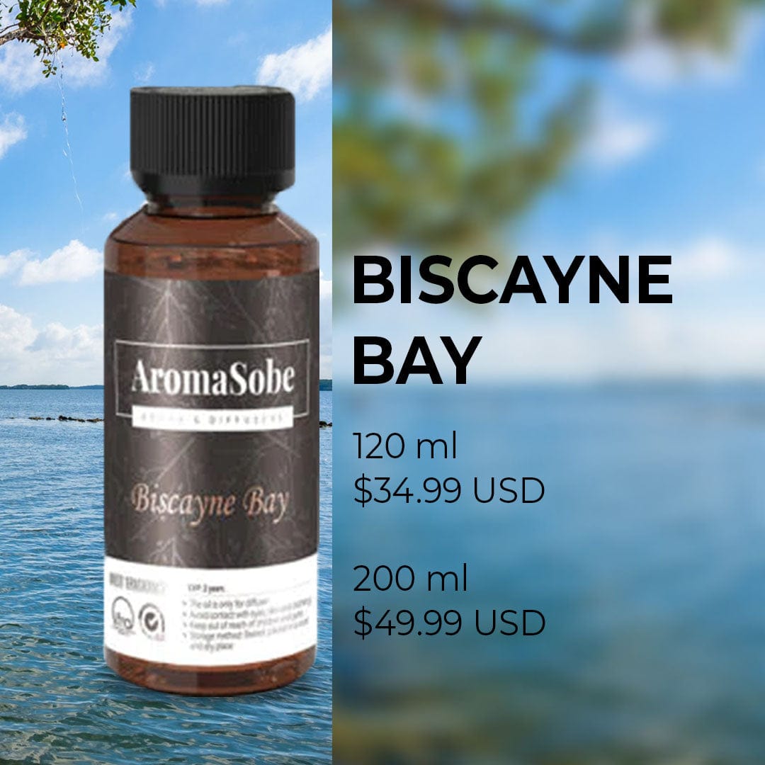 Biscayne Bay - aromasobe